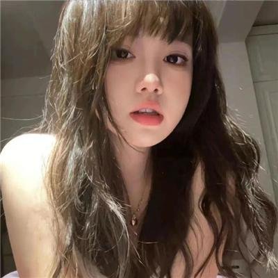 极地熊踪